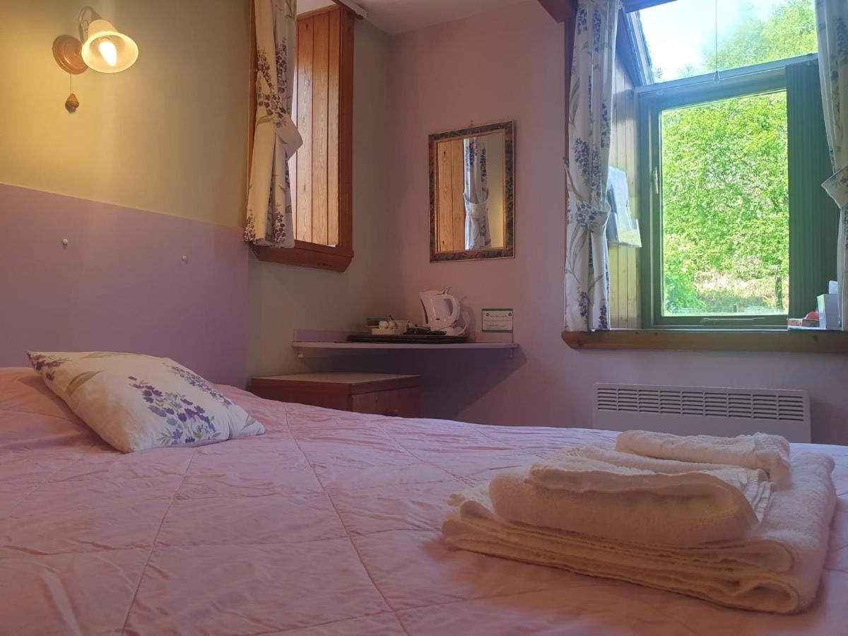 Bryn Elltyd Eco House Konuk evi Blaenau Ffestiniog Dış mekan fotoğraf