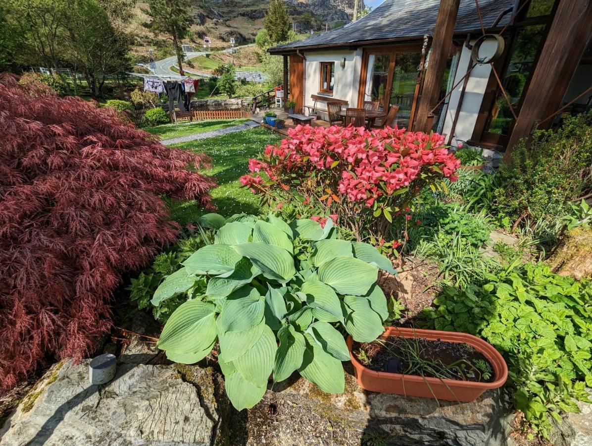Bryn Elltyd Eco House Konuk evi Blaenau Ffestiniog Dış mekan fotoğraf