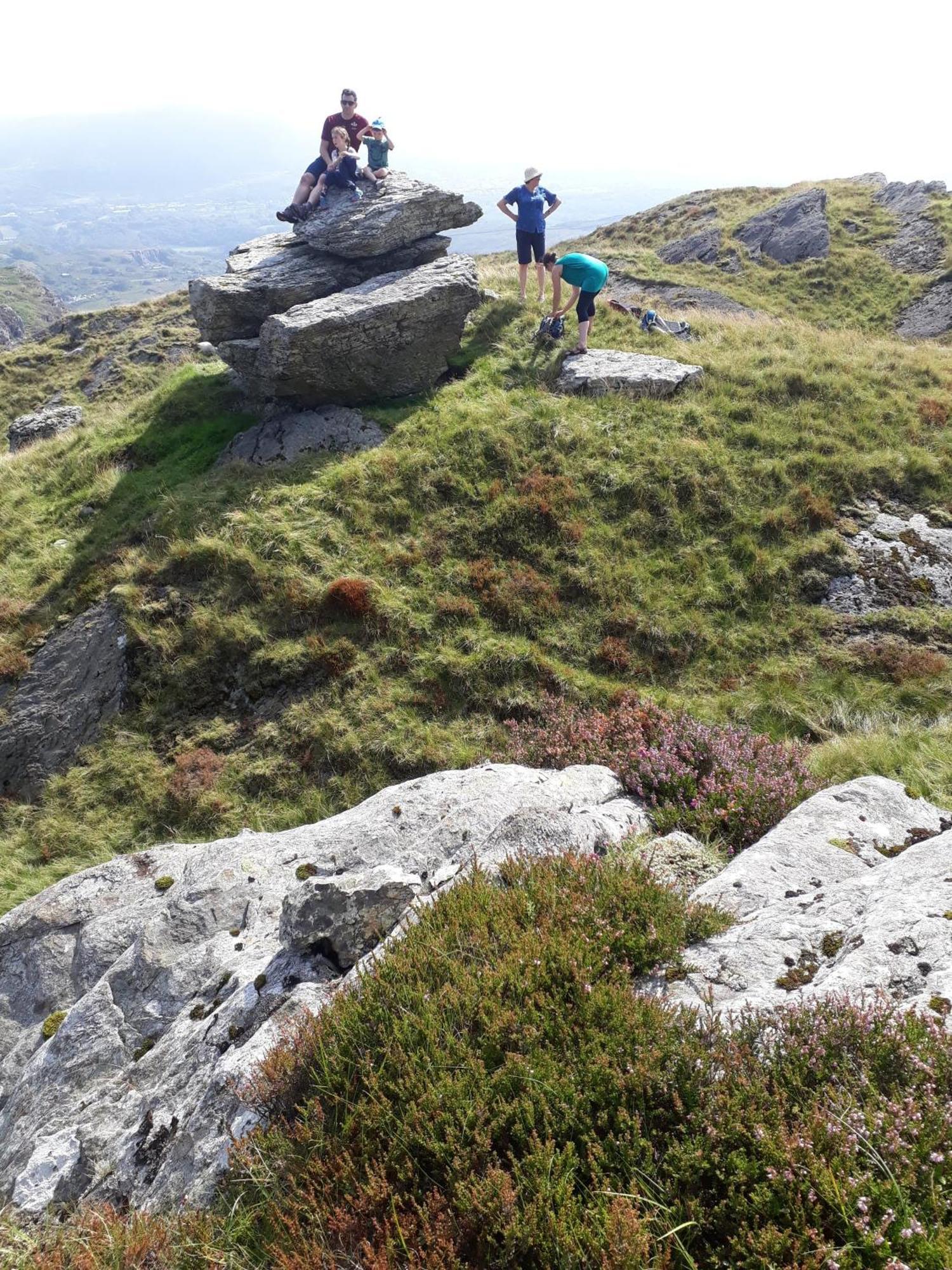 Bryn Elltyd Eco House Konuk evi Blaenau Ffestiniog Dış mekan fotoğraf