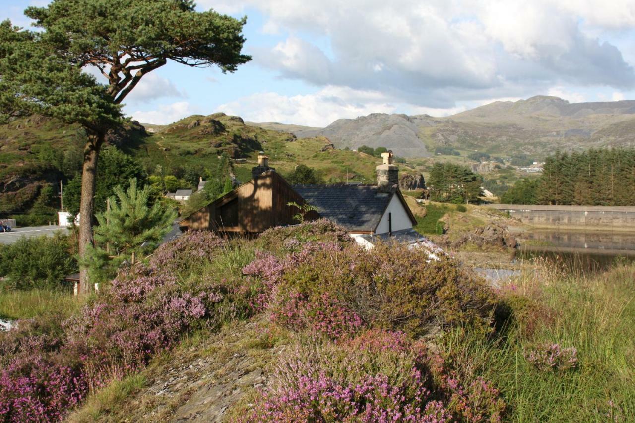 Bryn Elltyd Eco House Konuk evi Blaenau Ffestiniog Dış mekan fotoğraf