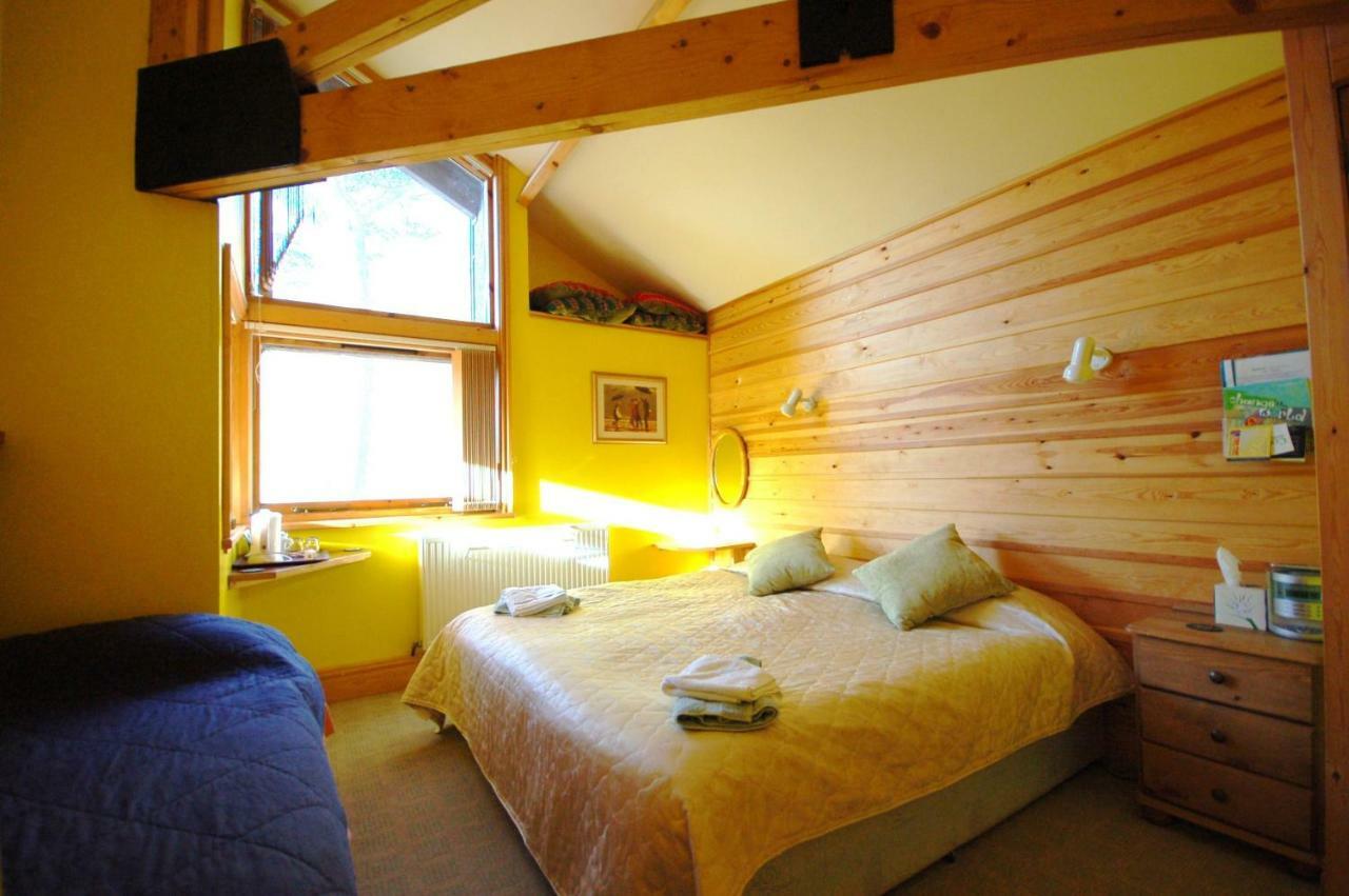 Bryn Elltyd Eco House Konuk evi Blaenau Ffestiniog Dış mekan fotoğraf